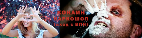 индика Коряжма