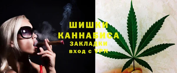 ПСИЛОЦИБИНОВЫЕ ГРИБЫ Корсаков