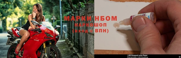 индика Коряжма
