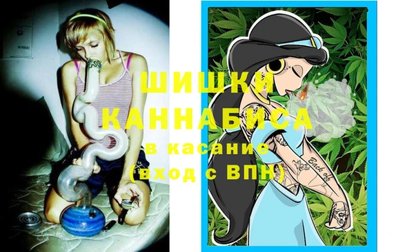 хмурый Козловка