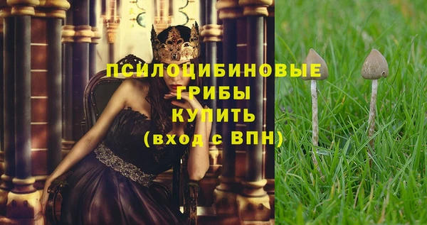 индика Коряжма