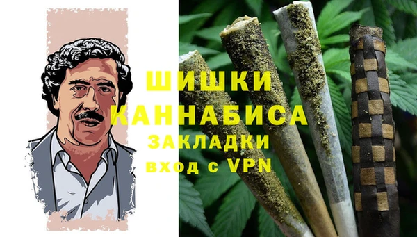 ПСИЛОЦИБИНОВЫЕ ГРИБЫ Корсаков