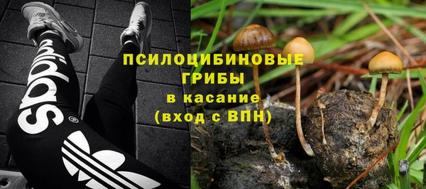 индика Коряжма