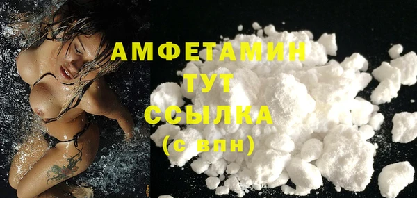 индика Коряжма