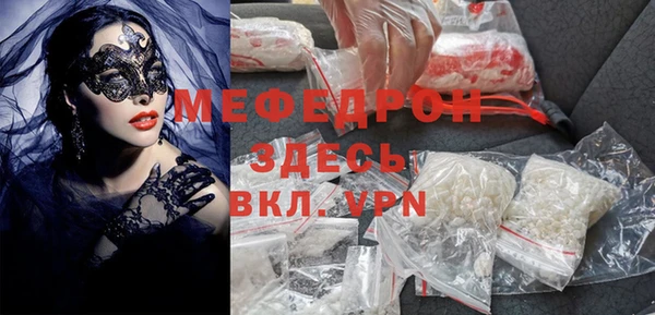 индика Коряжма