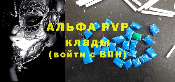 индика Коряжма