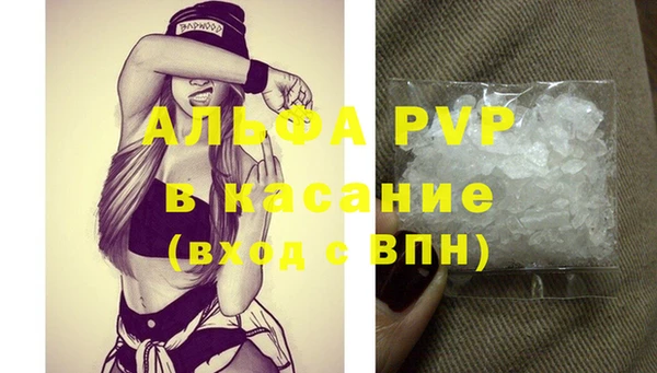 индика Коряжма