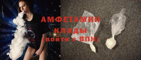 индика Коряжма