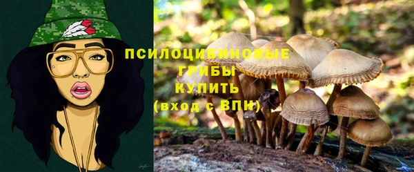 ПСИЛОЦИБИНОВЫЕ ГРИБЫ Корсаков
