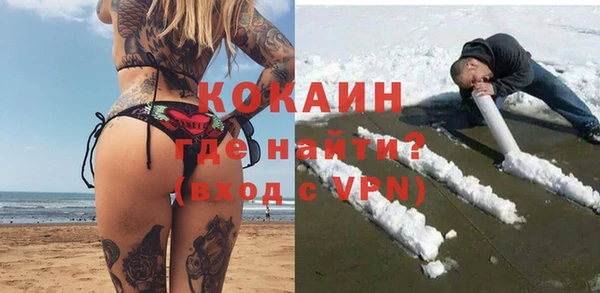 индика Коряжма