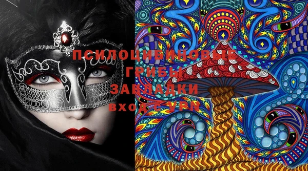 индика Коряжма
